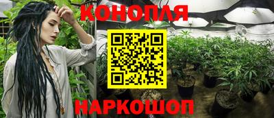 прущая мука Кимры